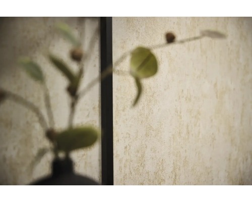 Beige gestructureerd behang met een gemêleerde afwerking achter een wazige plant.