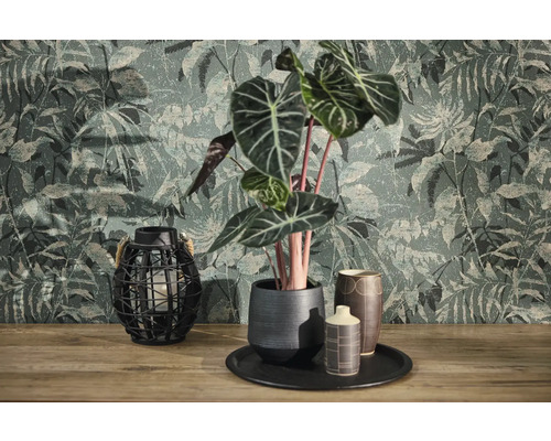 Vliesbehang met jungle-motief en vintage-structuur achter een Alocasia-plant in keramische pot en een roosterlantaarn op houten oppervlak.