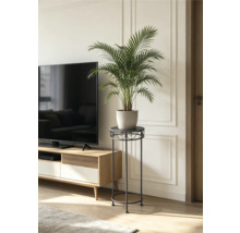 Hoge plantenstandaard van metaal met een palm in pot naast een tv-meubel in een lichte woonkamer.