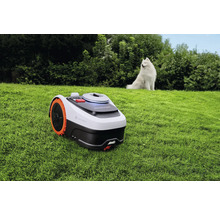 Segway Navimow robotmaaier met vierwielaandrijving op een gazon in een lichte tuin, met een witte hond op de achtergrond.