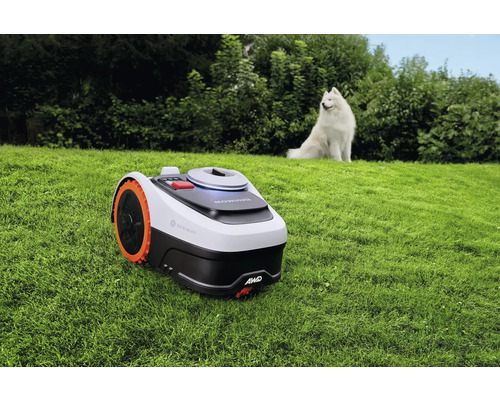 Segway Navimow robotmaaier met vierwielaandrijving op een gazon in een lichte tuin, met een witte hond op de achtergrond.