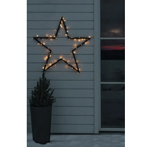 Verlichte LED-ster op een witte houten gevel naast een kleine naaldboom in een pot bij winterse schemering.