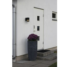 Huisingang met witte gevel, witte voordeur, zwarte buitenlamp en grote bloempot met paarse bloemen.