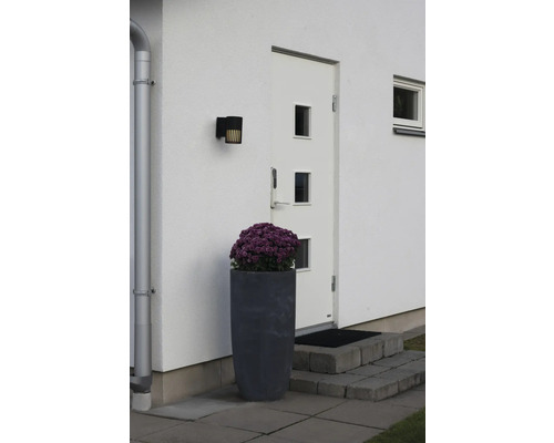 Huisingang met witte gevel, witte voordeur, zwarte buitenlamp en grote bloempot met paarse bloemen.