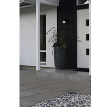 Moderne entree met witte voordeur, donkere wandbekleding, grote grijze plantenbak met siergras en grijze vloertegels.