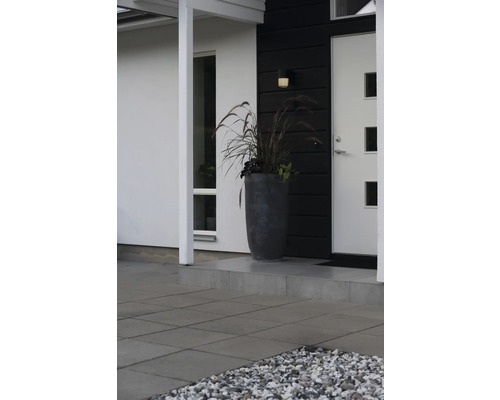 Moderne entree met witte voordeur, donkere wandbekleding, grote grijze plantenbak met siergras en grijze vloertegels.