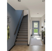 Moderne hal met donkere houten trap, blauwe accentmuur en een lichtgrijze voordeur met glazen inzetstuk.