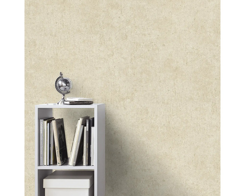 Getextureerd beige behang in een kamer met een witte boekenkast, boeken en een wereldbol.
