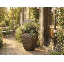 Grote rustieke plantenbak met lavendel, klimop en bloemen op een licht stenen terras naast een houten deur.