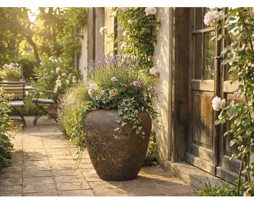 Grote rustieke plantenbak met lavendel, klimop en bloemen op een licht stenen terras naast een houten deur.
