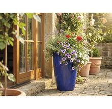 Hoge blauw geglazuurde keramische plantenpot met kleurrijke bloemen op een zonnig stenen terras naast een houten openslaande deur.