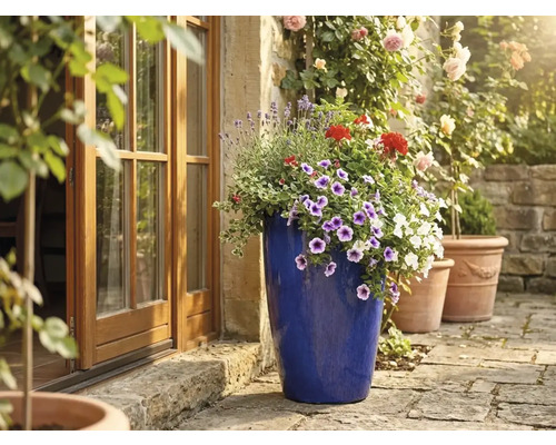 Hoge blauw geglazuurde keramische plantenpot met kleurrijke bloemen op een zonnig stenen terras naast een houten openslaande deur.