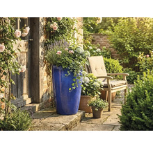 Hoge blauwe keramische bloempot op stenen terras naast rustieke houten deur, tuinstoel en bloemen in een lichte, verzorgde tuin.