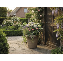 Grote plantenbak in steenlook met hortensia's, lavendel en geraniums op een stenen terras naast een houten deur in een bloeiende tuin.