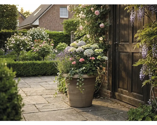 Grote plantenbak in steenlook met hortensia's, lavendel en geraniums op een stenen terras naast een houten deur in een bloeiende tuin.