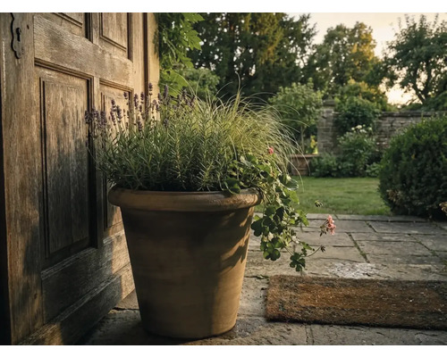 Grote terracotta bloempot met lavendel, siergras en geraniums naast een houten deur op een stenen terras in de tuin.