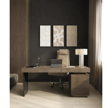 Modern thuiskantoor met houten bureau, ergonomische bureaustoel, driedelige wanddecoratie en een tafellamp in een georganiseerde ruimte.