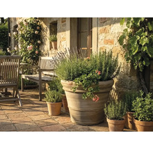 Grote terracotta plantenpot met lavendel, roosmarijn en geraniums op een licht stenen terras met houten tuinmeubelen.