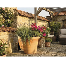 Mediterraan terras met grote terracotta pot met lavendel en kruiden, stenen muur, houten pergola en tuinmeubels.