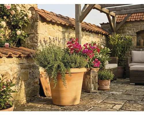 Mediterraan terras met grote terracotta pot met lavendel en kruiden, stenen muur, houten pergola en tuinmeubels.