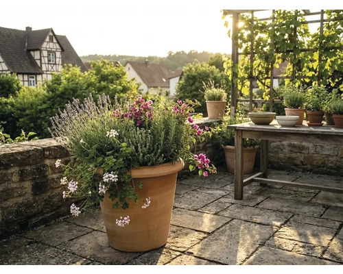Grote terracotta plantenpot op een stenen terras met lavendel en kruiden, een houten tafel en klimrek op de achtergrond.