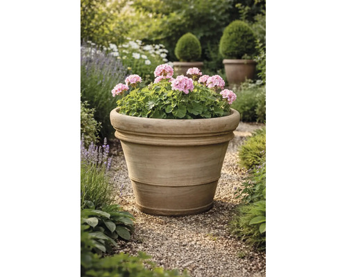 Grote terracotta plantenpot met roze geraniums in een tuin op een grindpad.