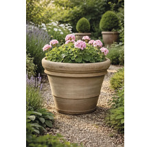 Terracotta plantenpot met roze geraniums in een lichte tuin op een grindpad.