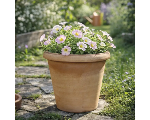 Terracotta plantenbak met lichtroze bloemen in een tuin op een stenen pad.