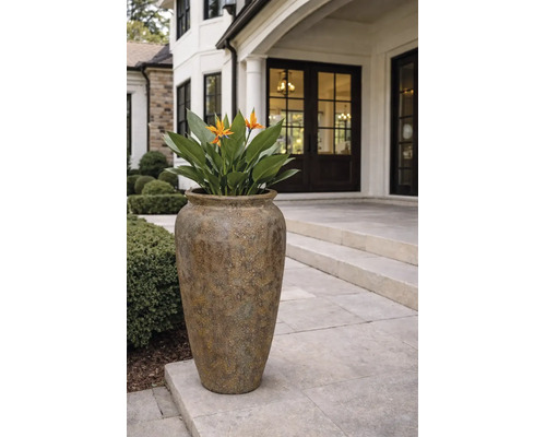Grote, gestructureerde plantenbak met een Strelitzia op een stenen terras voor een modern huis.