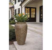 Grote plantenbak in vaasvorm met oppervlaktestructuur, beplant met een Strelitzia op een stenen terras voor een huisingang.