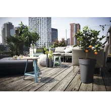 Licht dakterras met houten vlonder, moderne grijze loungebank, kunststof plantenbak met citrusboom en uitzicht op de skyline van de stad.
