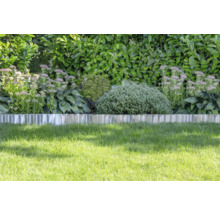 Metalen gazonrand scheidt het gazon van een border met vaste planten en struiken voor een heg.