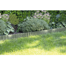 Golvende metalen gazonrand scheidt een gazon van een tuinborder met diverse planten en struiken.