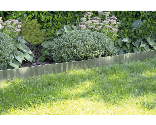 Golvende metalen gazonrand scheidt een gazon van een tuinborder met diverse planten en struiken.