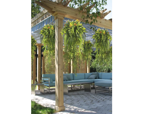 Terras met houten pergola, hangende varens, blauw gestreept zonnescherm en een lichtblauwe hoekbank op bestrating.
