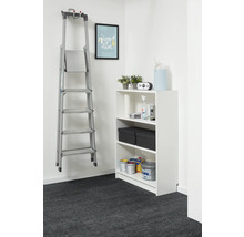 Georganiseerde opbergruimte met een wit rek en een aluminium ladder aan de wand, gevuld met verfblikken en opbergdozen.