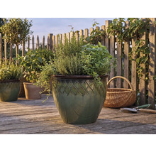 Kruiden zoals rozemarijn en basilicum in een geglazuurde keramische pot met ruitpatroon op een licht houten terras voor een houten hek.