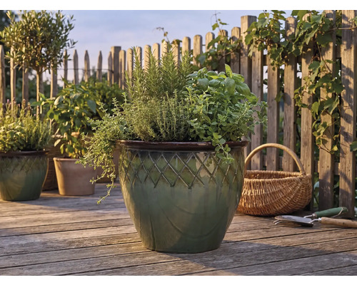 Kruiden zoals rozemarijn en basilicum in een geglazuurde keramische pot met ruitpatroon op een licht houten terras voor een houten hek.