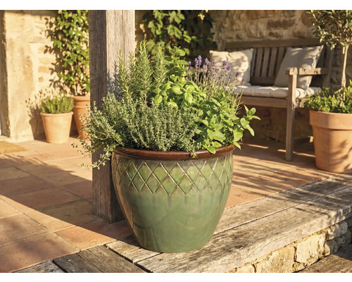 Keramische plantenpot met ruitpatroon, gevuld met kruiden zoals lavendel en rozemarijn, op een zonnig terras bij een houten bank.
