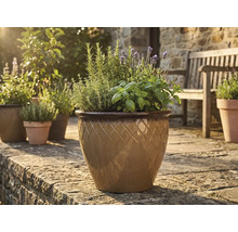 Geglazuurde keramische plantenpot met ruitpatroon, gevuld met kruiden en lavendel op een zonnig stenen terras.