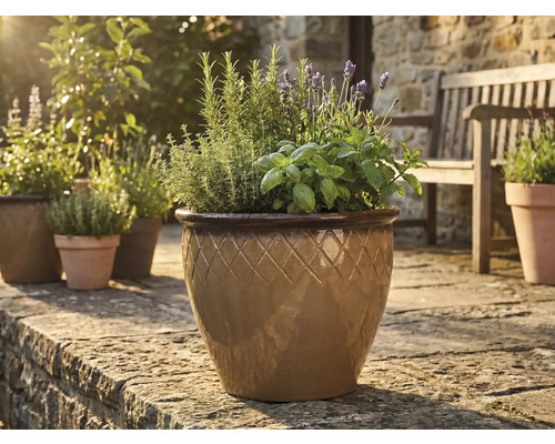 Geglazuurde keramische plantenpot met ruitpatroon, gevuld met kruiden en lavendel op een zonnig stenen terras.