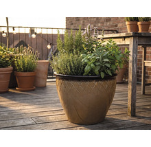 Geglazuurde keramische pot met ruitpatroon op een houten terras, beplant met rozemarijn, tijm, basilicum, salie en munt.