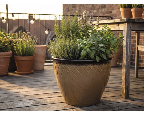 Geglazuurde keramische pot met ruitpatroon op een houten terras, beplant met rozemarijn, tijm, basilicum, salie en munt.