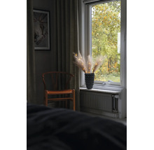 Kamerinterieur met houten stoel en vensterbankdecoratie van pampasgras in een getextureerde vaas met lichtjes.