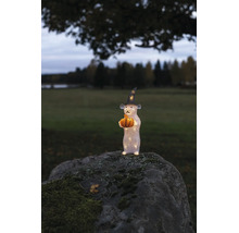 LED acryl figuur muis met heksenhoed en pompoen op een bemoste steen buiten.