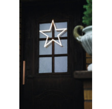 LED-ster met neonlook als kerstverlichting op een donkere houten deur met glaselementen.