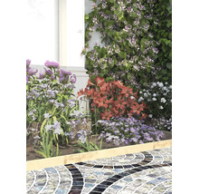 Tuinborder met bloemen, beschermd door een fijnmazig zwart beschermnet over een lichte houten rand langs een geplaveid pad.
