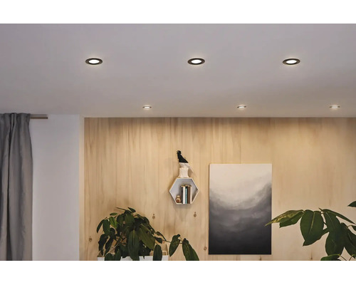 Moderne woonkamer met ronde inbouwspots in het plafond boven een houten wand met decoratie en kamerplanten. Helder en georganiseerd.