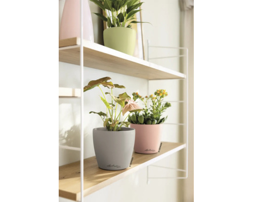 Moderne houten plank aan een witte metalen constructie met diverse kamerplanten in ronde bloempotten van Lechuza.