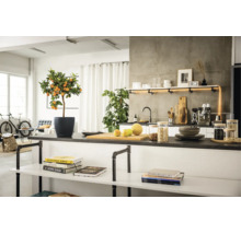 Lichte keuken in industriële stijl met een citrusboompje in een plantenpot op het aanrecht en rekken van buisverbindingen.